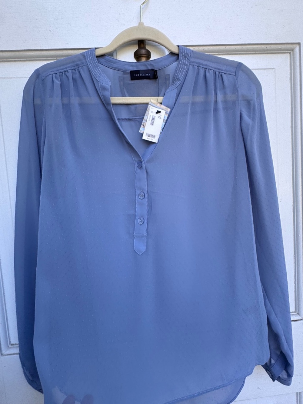 The Limited Blouse XS Blue Sheer Swiss Dot Long Sleeve NWT